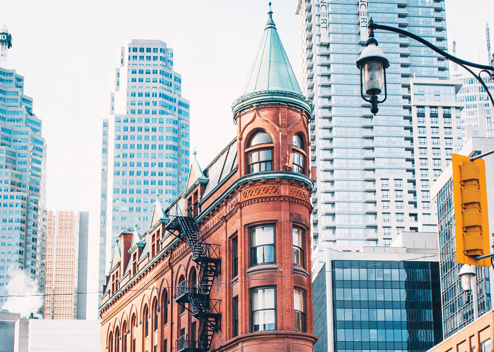 Forest mapping training